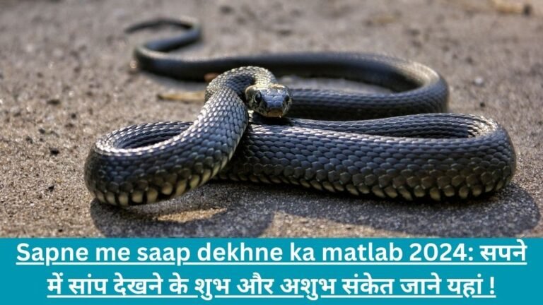 Sapne me saap dekhna kaisa hota hai