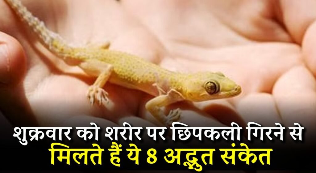 Chhipkali ka Girna Hota Hai Shubh