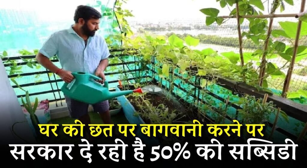 Chhat Par Bagwani Yojana