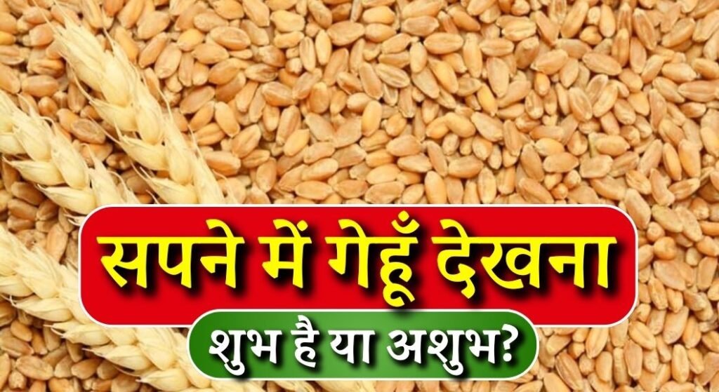 Sapne mein Gehu Dekhna