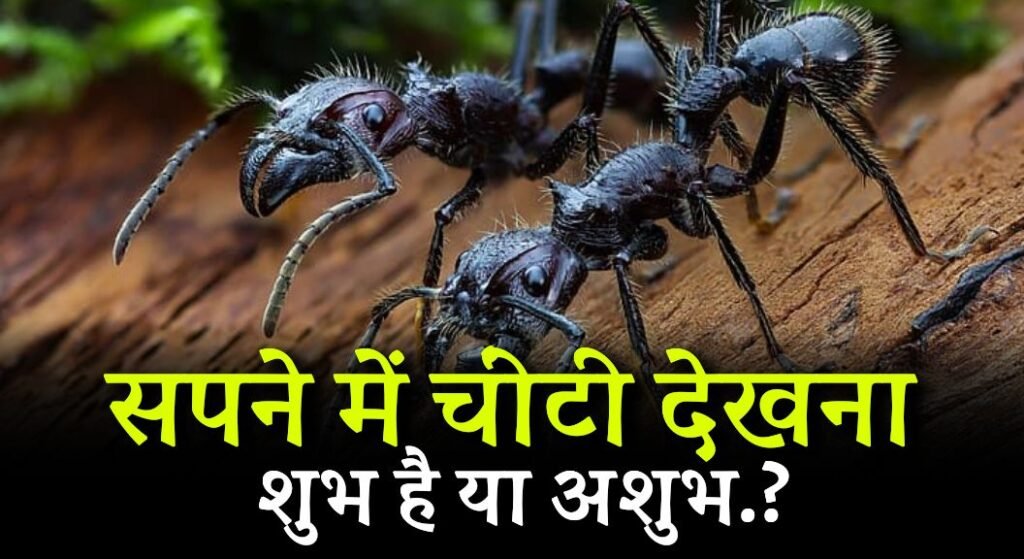 Sapne me Chiti Dekhna