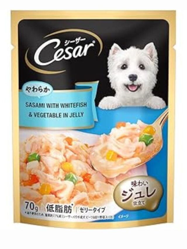 9 Best Benefits of Cesar wet dog food