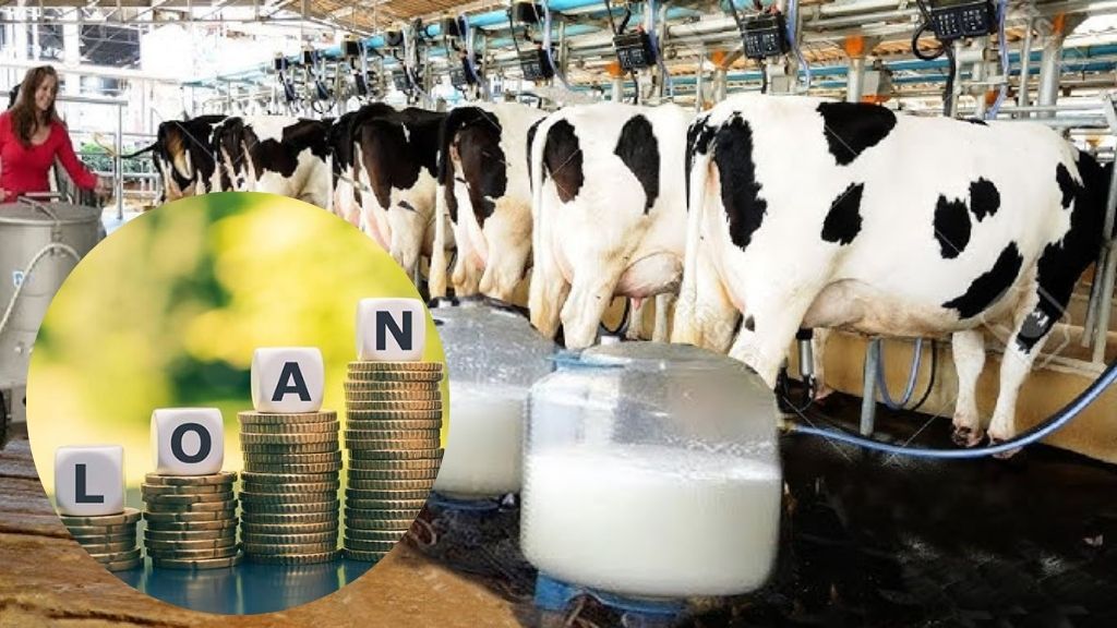 Dairy Farm Loan Apply 2024